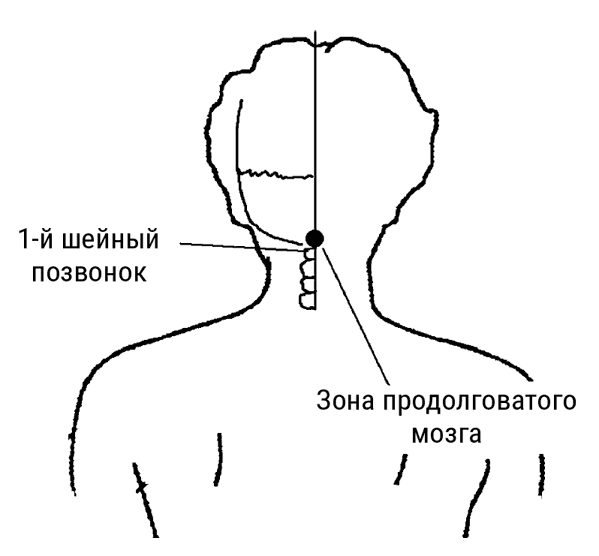 Большой самоучитель исцеляющих точек. Подробный атлас, приемы и упражнения