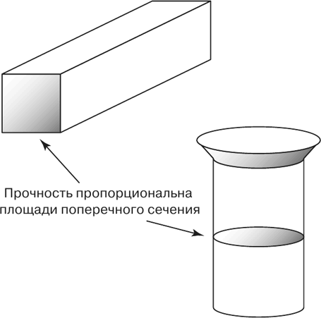 Масштаб. Универсальные законы роста, инноваций, устойчивости и темпов жизни организмов, городов, экономических систем и компаний