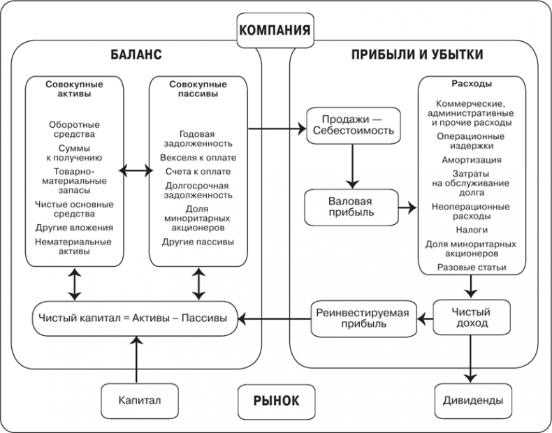 Масштаб. Универсальные законы роста, инноваций, устойчивости и темпов жизни организмов, городов, экономических систем и компаний