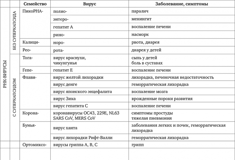 Вирусы. Откуда они берутся, как передаются людям и что может защитить от них