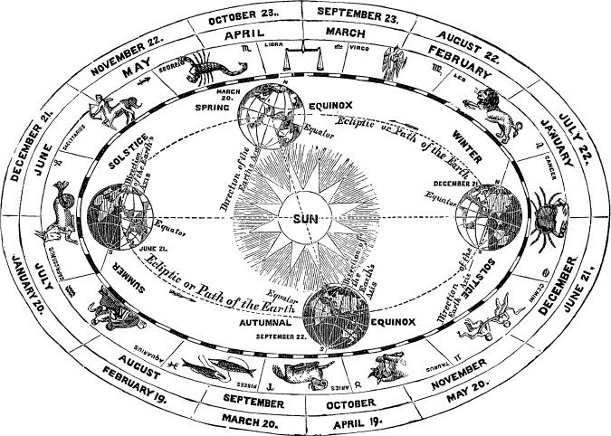 Homo Viridae: человек как вирус