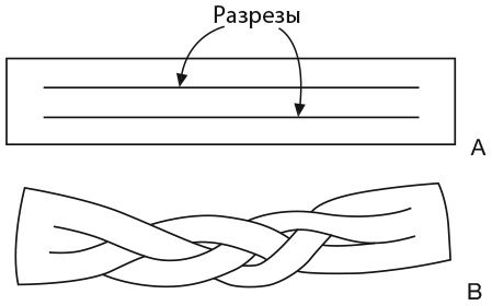 Капуста, неверные мужья и зебра. Загадки и головоломки для развития критического мышления