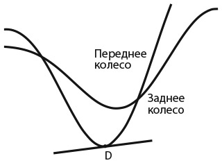 Капуста, неверные мужья и зебра. Загадки и головоломки для развития критического мышления