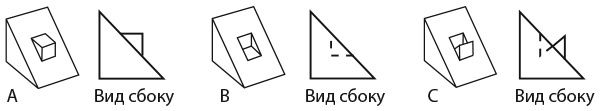 Капуста, неверные мужья и зебра. Загадки и головоломки для развития критического мышления