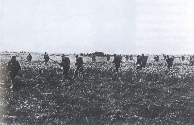 Великая война. 1914–1918