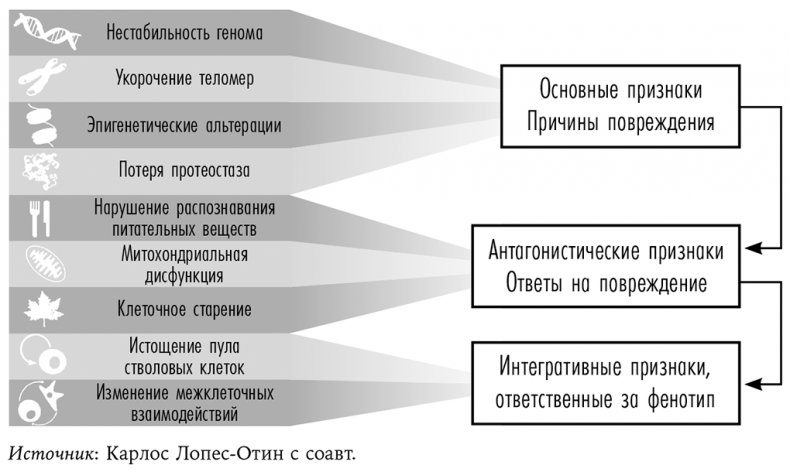 Смерть должна умереть. Наука в борьбе за наше бессмертие