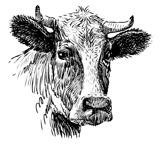 Секретная жизнь коров. Истории о животных, которые не так глупы, как нам кажется
