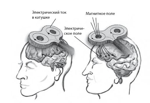 Сознание за пределами жизни. Наука о жизни после смерти