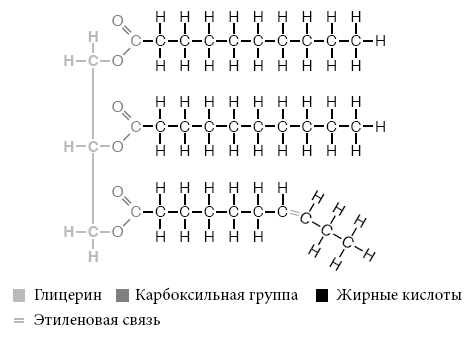 Правила еды. Передовые идеи в области питания, которые позволят предотвратить распространенные заболевания