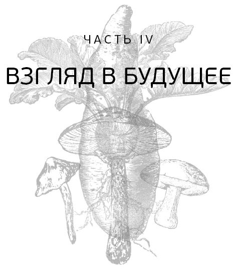 Правила еды. Передовые идеи в области питания, которые позволят предотвратить распространенные заболевания