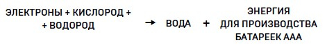 Ингредиенты. Странные химические свойства того, что мы едим, пьем и наносим на кожу