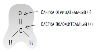 Ингредиенты. Странные химические свойства того, что мы едим, пьем и наносим на кожу