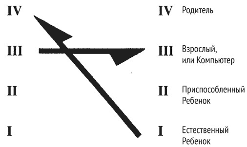 Психология эволюции. Руководство по освобождению от запрограммированного поведения