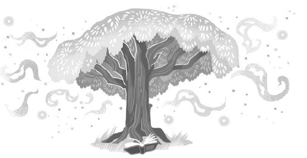 Книжный лес