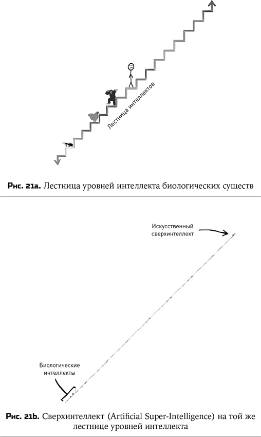 Воспитание машин. Новая история разума