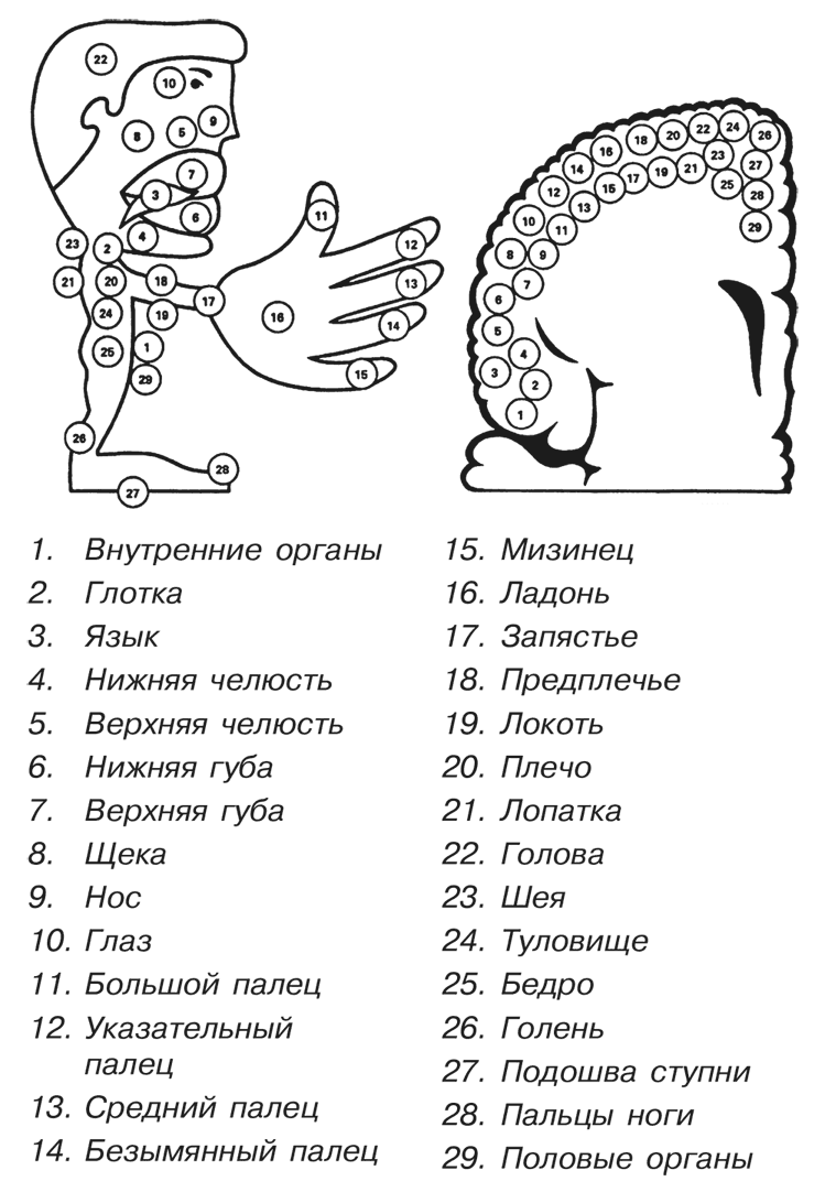 Увлекательная психология