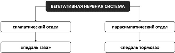 Психосоматика. Как выйти из адского круга панических атак, беспокойства, стресса и тревожных состояний. 20 работающих способов