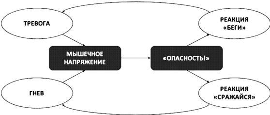 Психосоматика. Как выйти из адского круга панических атак, беспокойства, стресса и тревожных состояний. 20 работающих способов