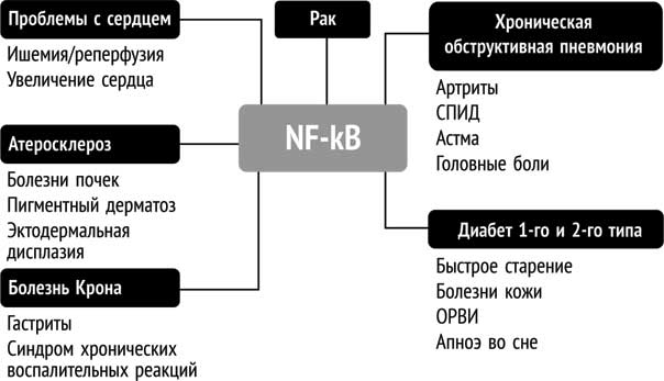 Ледяной человек. Сверхвозможности вашего организма