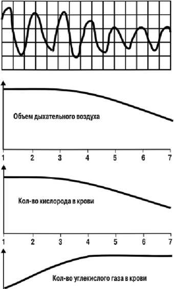 Детектор лжи