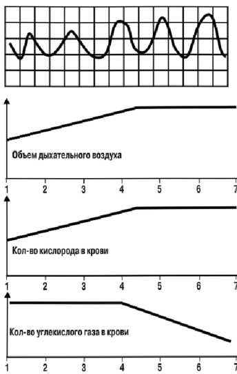 Детектор лжи