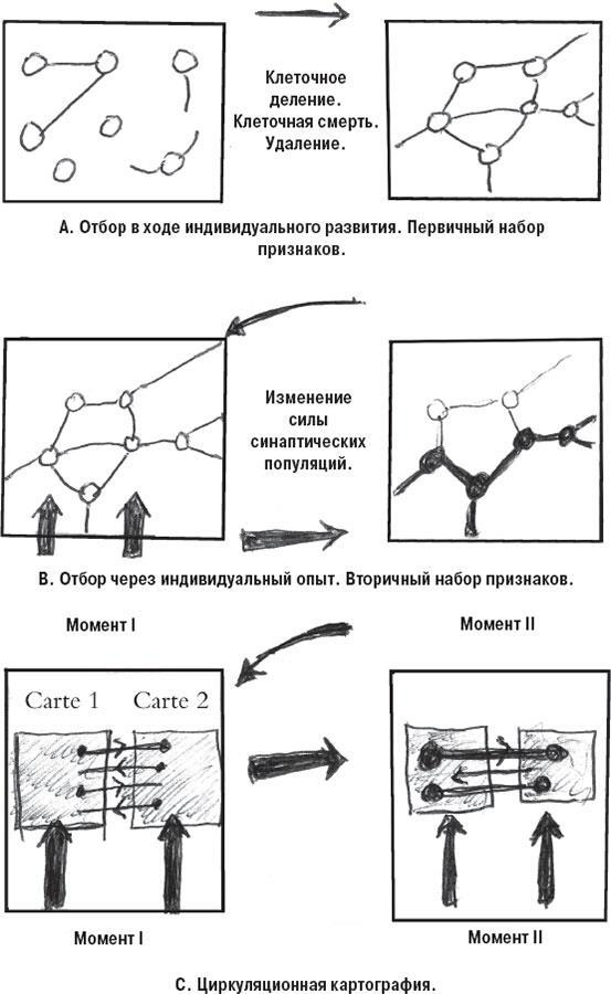 Наука о сне. Кто познает тайну сна – познает тайну мозга!