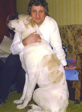 Михаил Гуткин Михаил Гуткин