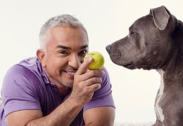 Цезарь Миллан Цезарь Миллан