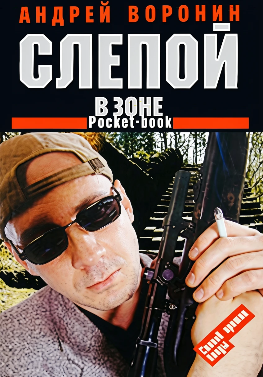 Книга Слепой в зоне