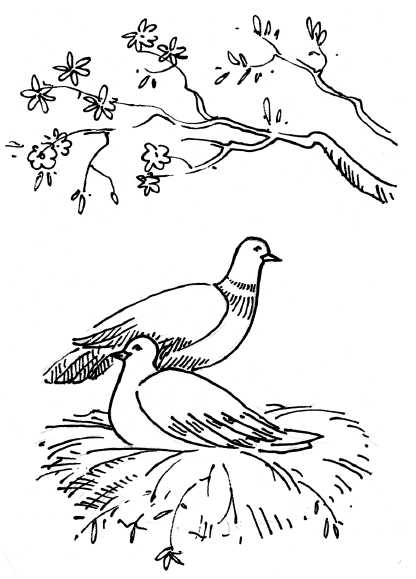 Иллюстрация к книге — 48 советов по обретению любви [48-tips-for-gaining-love-12.jpg]