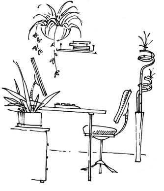 Иллюстрация к книге — 48 советов по обретению денежной удачи [48-tips-for-gaining-money-luck-13.jpg]