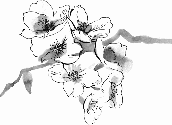 Иллюстрация к книге — Любовь - чудесная страна! [Love-Beautiful-Country-02.png]