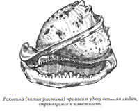 Иллюстрация к книге — Талисманы любви и удачи [Talismans-of-love-and-luck-19.jpg]