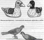 Иллюстрация к книге — Талисманы любви и удачи [Talismans-of-love-and-luck-24.jpg]