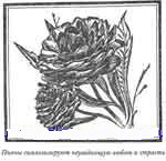 Иллюстрация к книге — Талисманы любви и удачи [Talismans-of-love-and-luck-27.jpg]