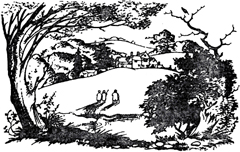 Иллюстрация к книге — Лев, Колдунья и Платяной шкаф [Lion-Witch-and-Wardrobe-12.jpg]