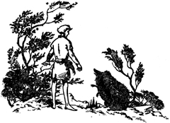 Иллюстрация к книге — Конь и его мальчик [Horse-and-His-Boy-20.jpg]