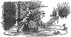 Иллюстрация к книге — Принц Каспиан [Prince-Caspian-25.jpg]