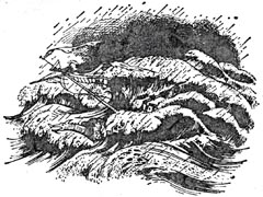 Иллюстрация к книге — Покоритель зари, или плавание на край света [Conqueror-of-the-dawn-15.jpg]