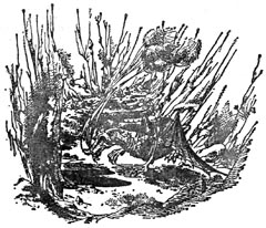 Иллюстрация к книге — Покоритель зари, или плавание на край света [Conqueror-of-the-dawn-18.jpg]