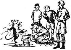 Иллюстрация к книге — Покоритель зари, или плавание на край света [Conqueror-of-the-dawn-32.jpg]