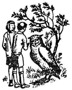 Иллюстрация к книге — Серебряное кресло [Silver-Chair-07.jpg]