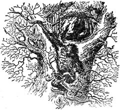 Иллюстрация к книге — Последняя битва [The-Last-Stand-02.jpg]