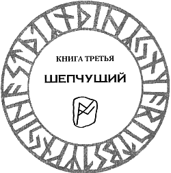 Иллюстрация к книге — Рунная магия [Runemarks-38.png]