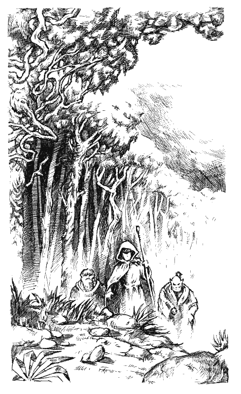 Иллюстрация к книге — Хранитель Мечей. Странствия мага. Том 1 [Keeper-of-the-Swords-Wandering-magician-Volume-1-006.png]