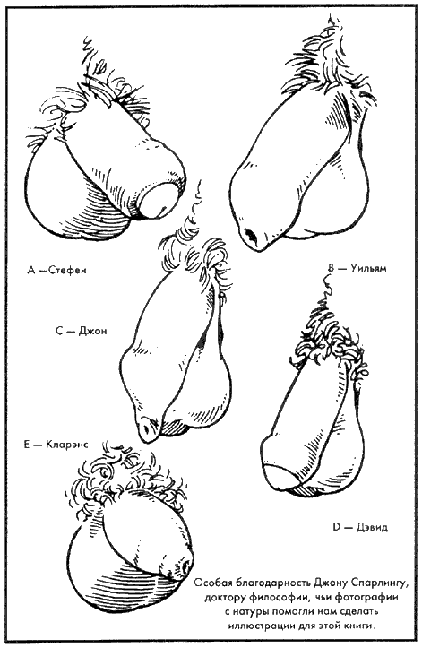Иллюстрация к книге — Библия секса [Bible-Sex-010.png]