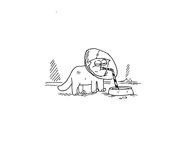 Иллюстрация к книге — Кот Саймона [Simons-Cat-99.jpg]