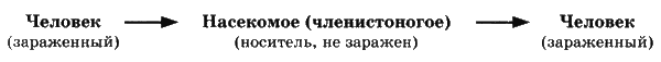 Иллюстрация к книге — Печать Иуды [_71.png]