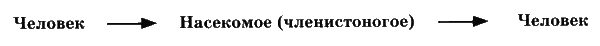 Иллюстрация к книге — Печать Иуды [_84.png]