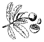 Иллюстрация к книге — Амазония [i_06.png]